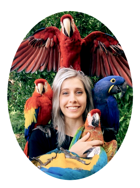 Read more about the article Erika Schnellert